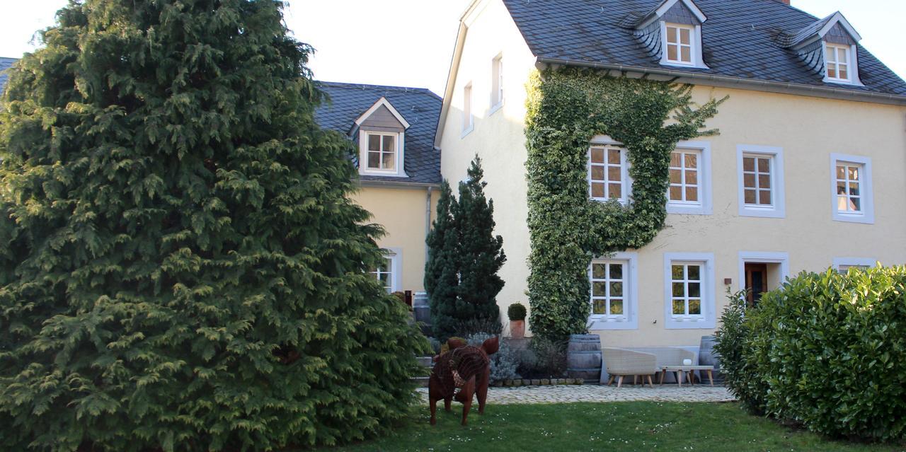 Hotel Wein- & Tafelhaus Trittenheim Exteriér fotografie